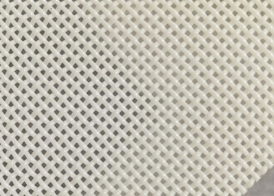 poliéster Mesh Belt Square Hole For do tamanho do furo de 1x1mm que seca o alimento de peixes