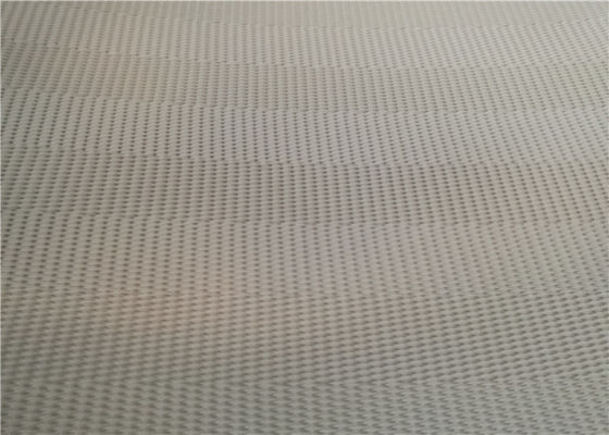Correia de secagem da lama do poliéster do GV da imprensa da fatura de papel