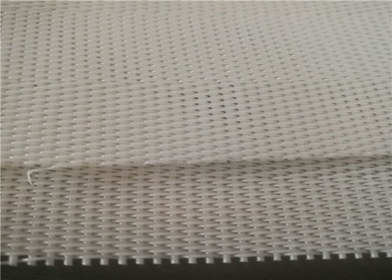 A tela da tela do poliéster da fábrica ISO9001 do alimento para a imprensa da correia enlameia a secagem