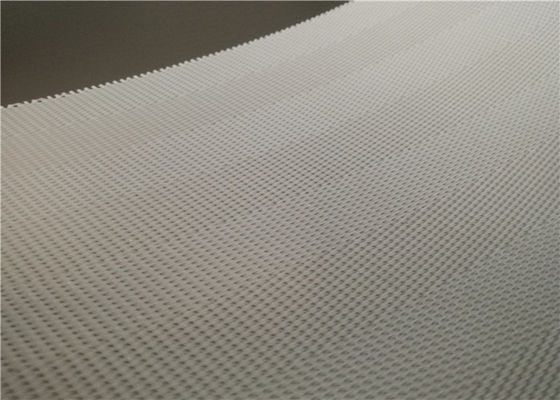 Poliéster Mesh Roller Sludge Dewatering Belt para a imprensa da fatura de papel