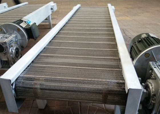 Correia transportadora de limpeza de aço inoxidável de corrente de 201 vegetais