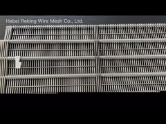 Correia transportadora da relação do olho